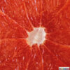 Foto-Tischdecke "Grapefruit"