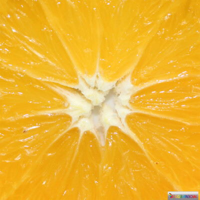 Foto-Tischdecke „Orange“