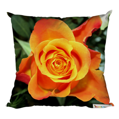 Foto-Kissen „Orange Rose“