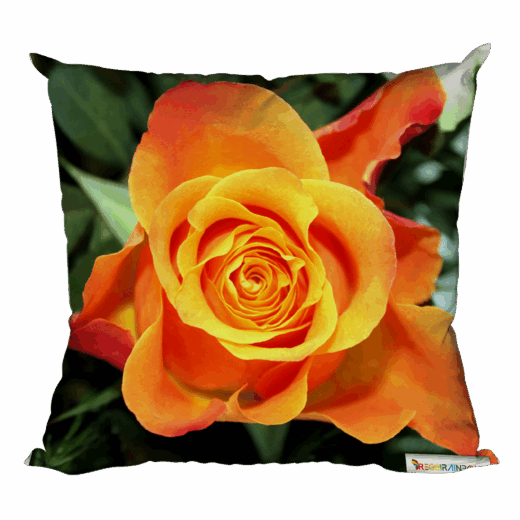 Foto-Kissen "Orange Rose"
