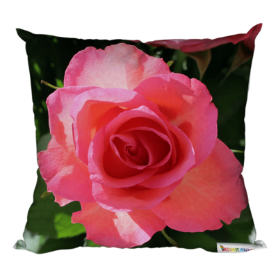 Foto-Kissen „Rosa Rose“