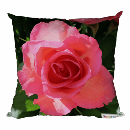 Foto-Kissen "Rosa Rose"