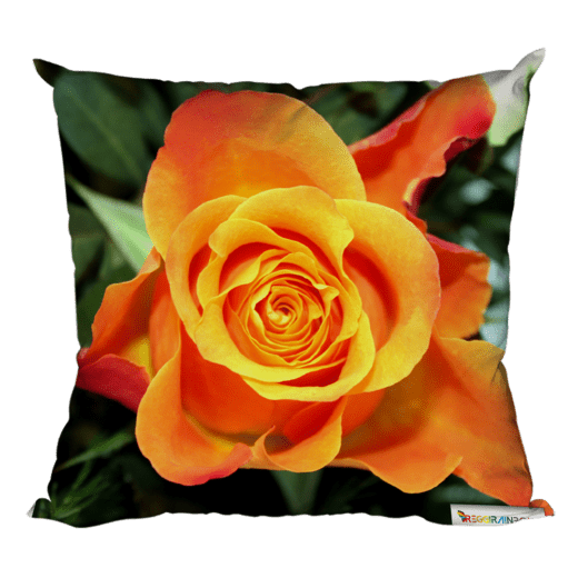Foto-Kissen "Orange Rose"
