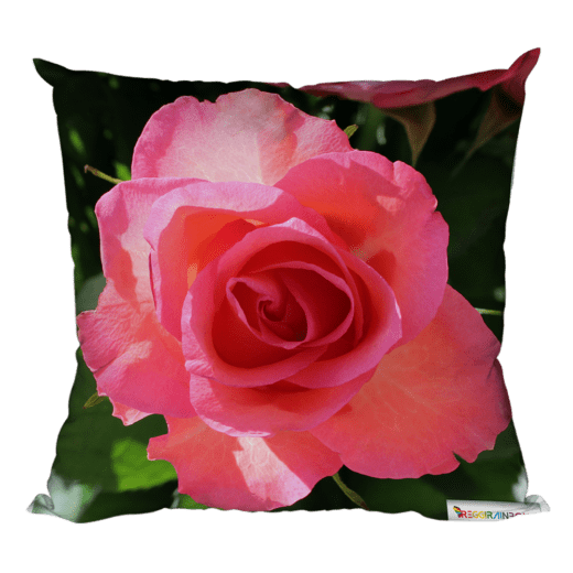 Foto-Kissen "Rosa Rose"