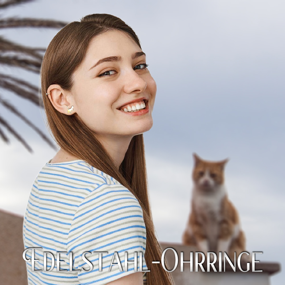 Edelstahl-Ohrringe