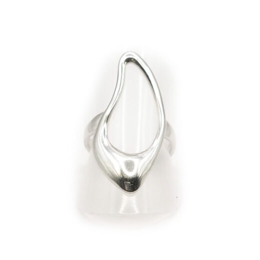 Edelstahl-Ring - Fluid
