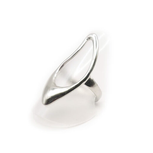 Edelstahl-Ring - Fluid